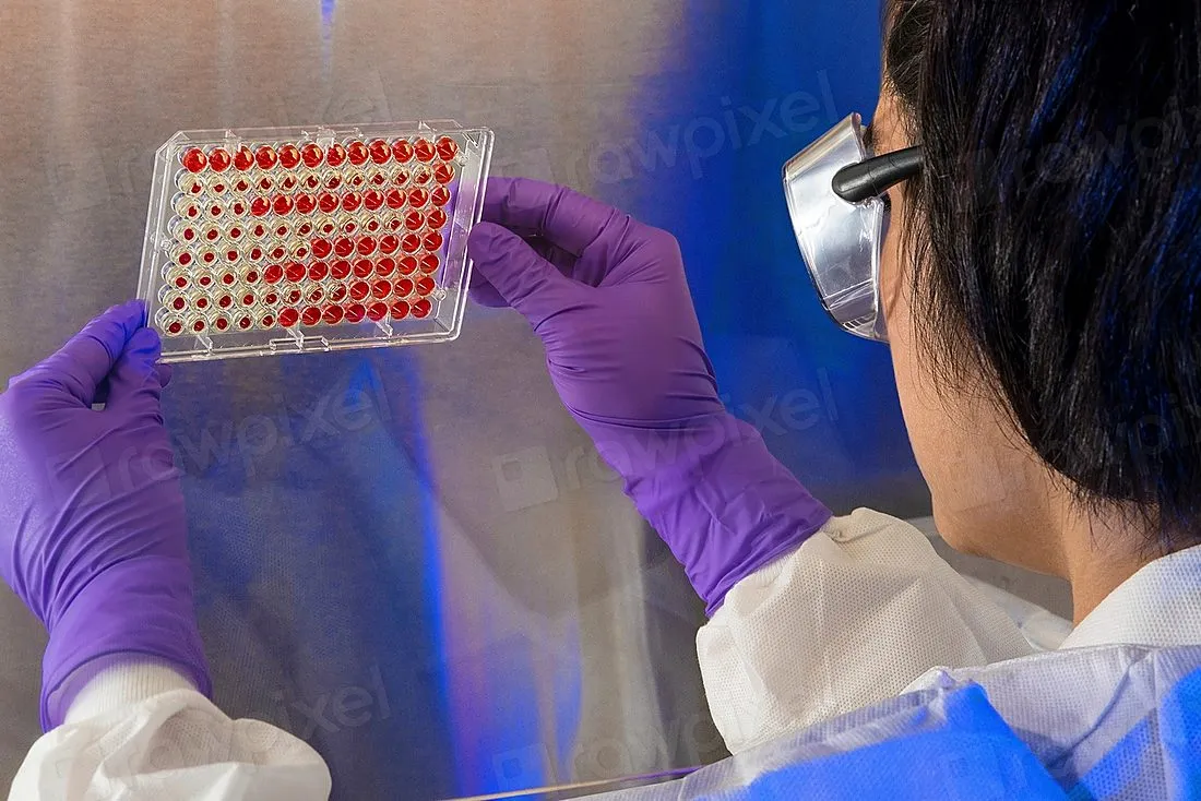 a scientist examining samples in a laboratory