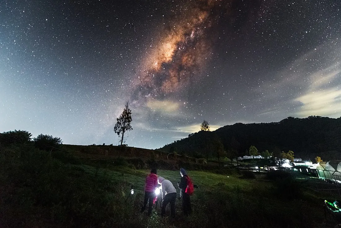 a crowd stargazing at night