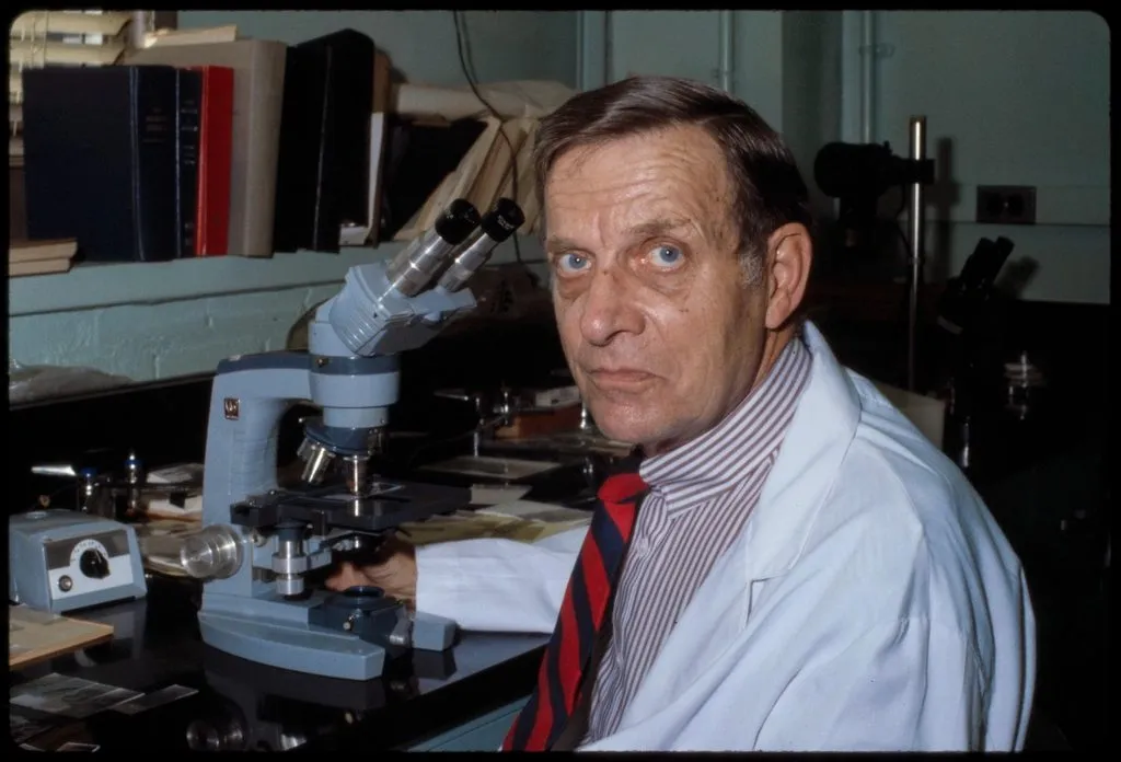 a chemist working at a lab bench