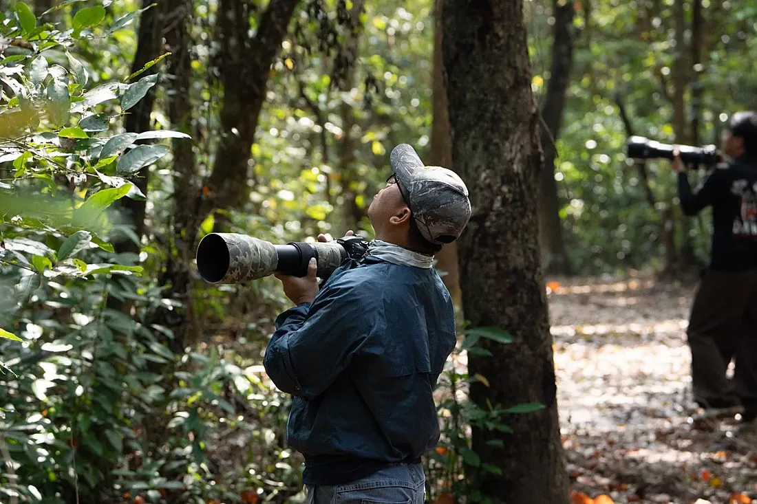 a birdwatcher with binoculars in a park