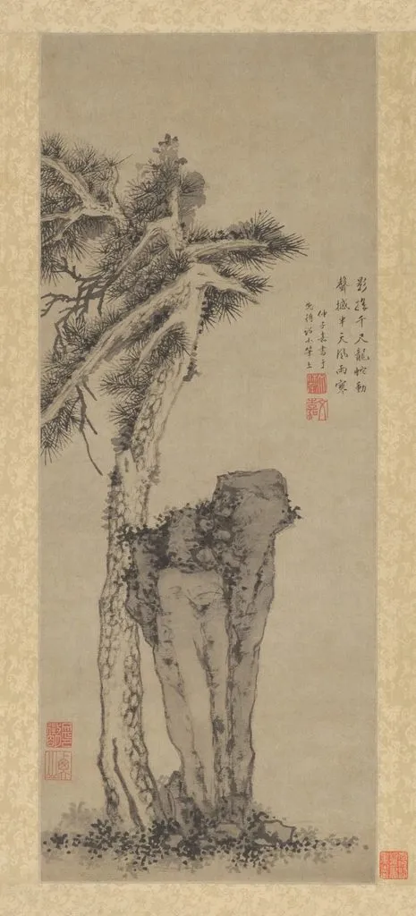 an ancient pine tree on a mountainside