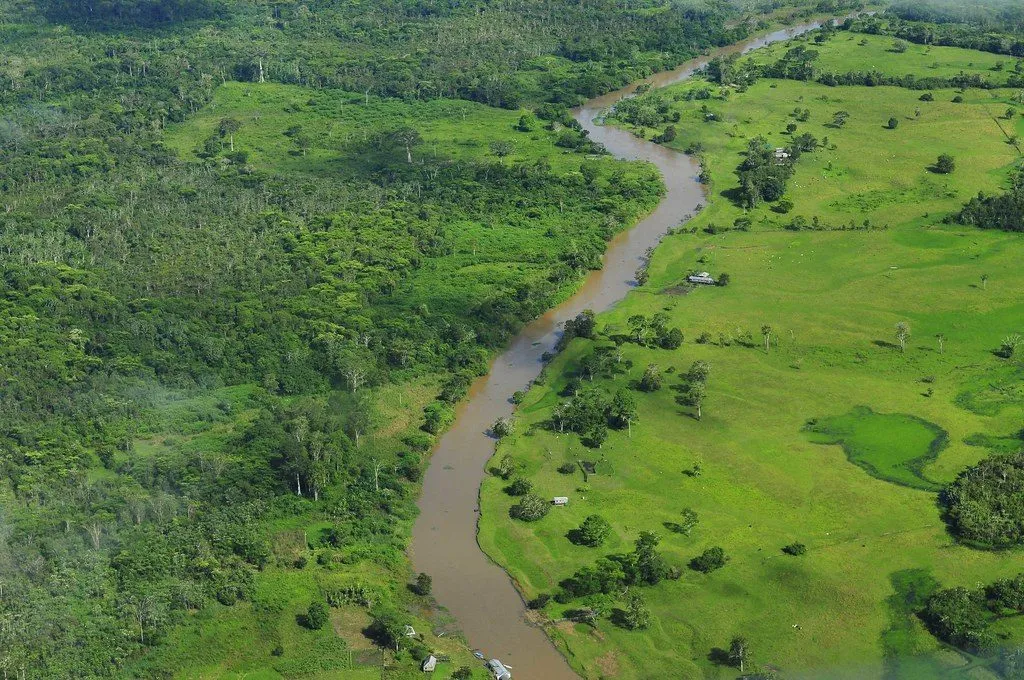 Amazon rainforest deforestation aerial