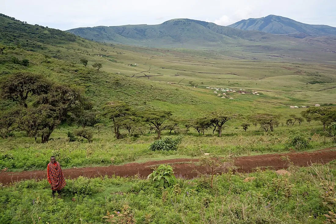a Maasai warrior on a motorbike scanning the savanna at dawn