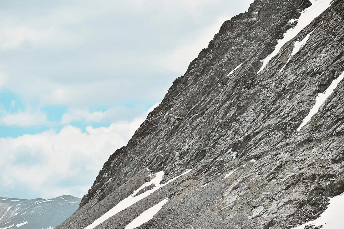a wild mouse on a rocky mountain slope