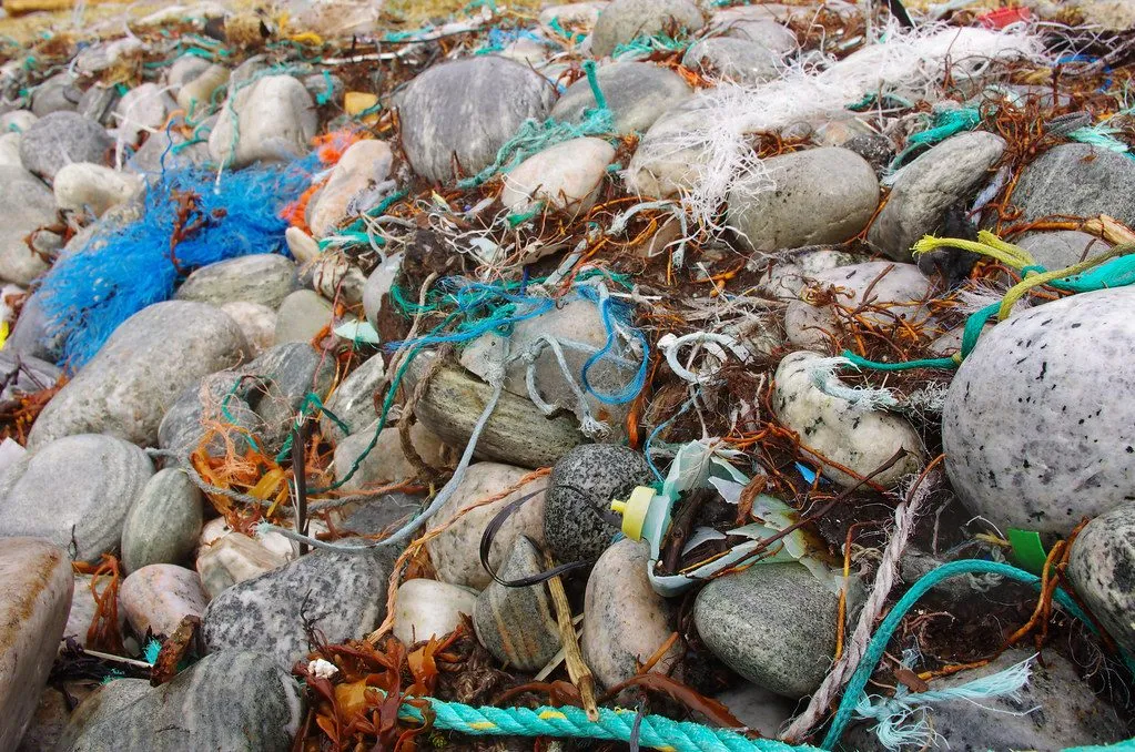 Microplastics