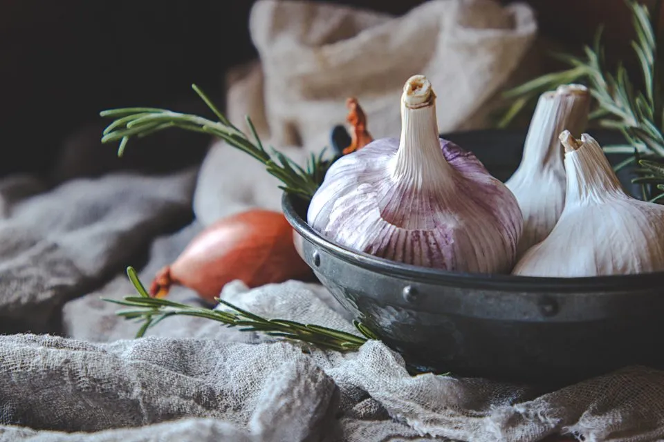 Most young Indians are already cutting back on meat, and half the rest are open to going vegan
