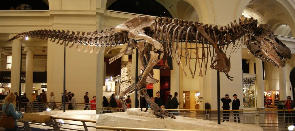 Field Museum Chicago