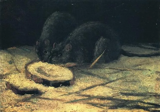 two rats